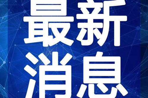 瑞豹最新款爆料视频大全,全方位视频解析，尽览尖端科技风采